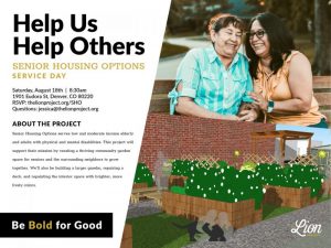 Senior Housing Options Service Day flyer